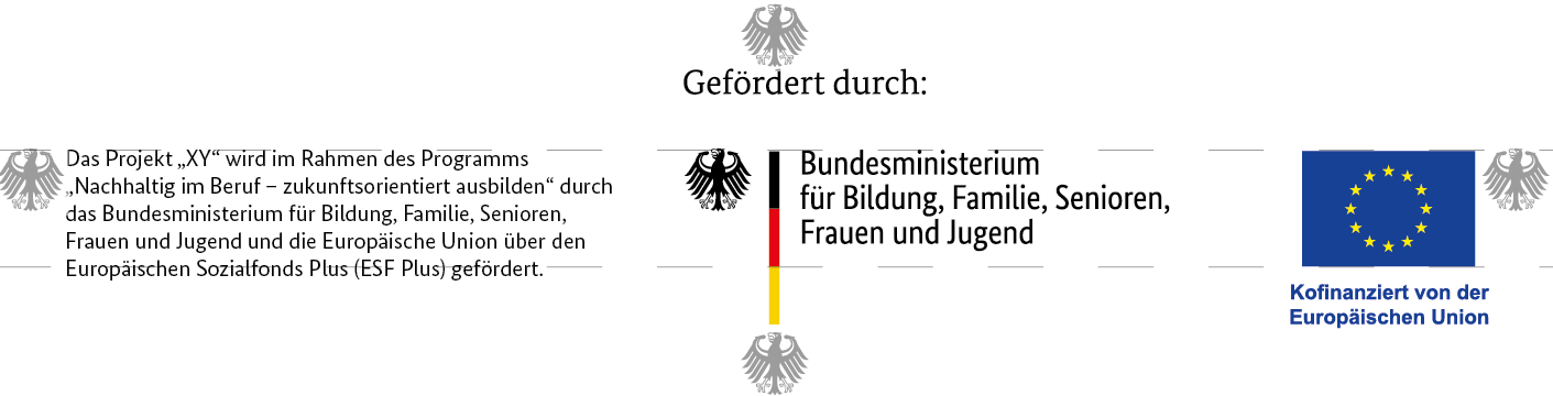 Gefördert durch das Bundesministerium für Bildung, Familie, Senioren, Frauen und Jugend und kofinanziert von der Europäischen Union (ESF Plus)